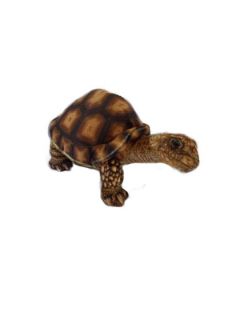 Obrázek z Želva hnědá plyš 25cm (72) 